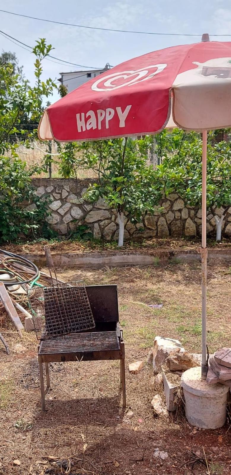 Vila Rexhaj クサミル エクステリア 写真